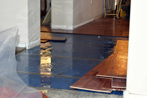 Professional Water Extraction technician working in Rockland, WI